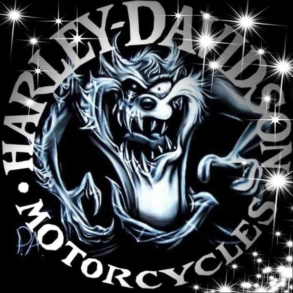 Meet your Posher, Michael - Picture 1 of 1